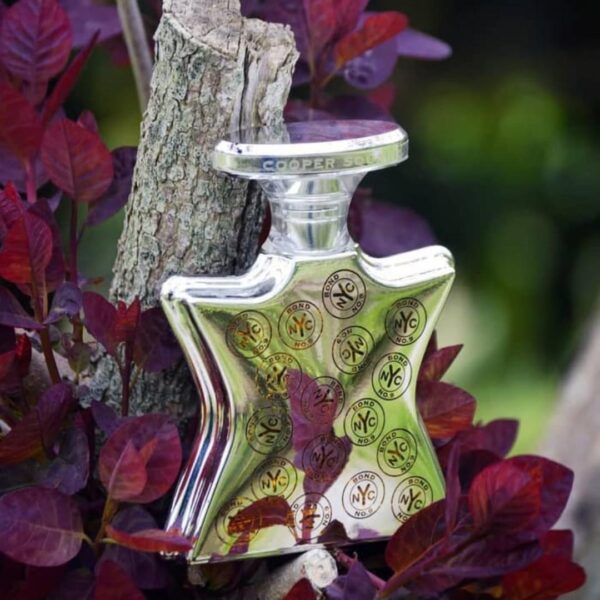 Fragrance Bottle On The Solid Tree Branch