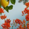 ATELIER<BR><HR>LOVE OSMANTHUS<BR><HR>1.0 OZ<HR> - Image 2